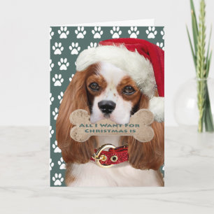 Cavalier Kung Charles Kisses till jul Helgkort