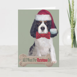 Cavalier Kung Charles Kisses till jul Helgkort