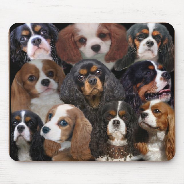 Cavalier Kung Charles mousepad Musmatta (Framsidan)