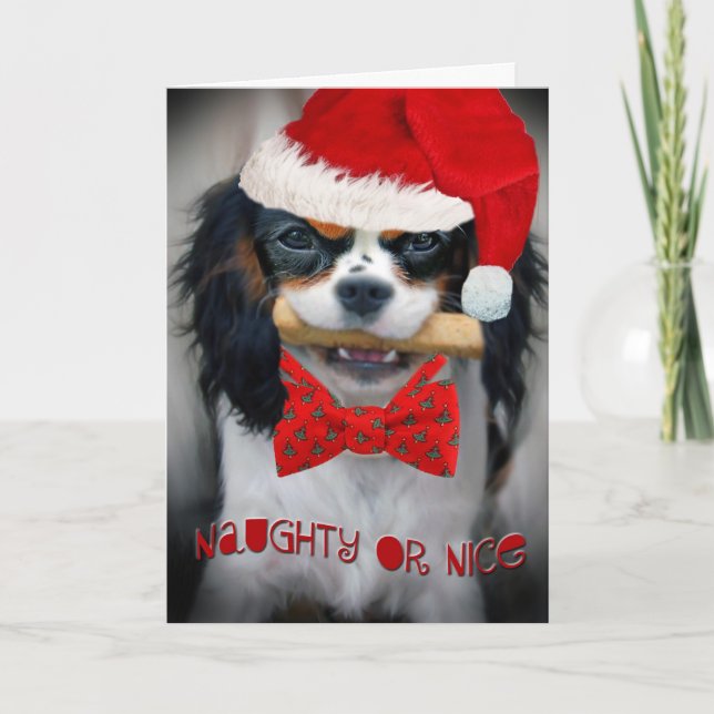 Cavalier Kung Charles Naughty eller Nice-julklapp Helgkort (Framsida)
