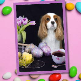 Cavalier Kung Charles Påsk Tulips-äggkort Helgkort