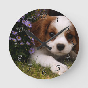 Cavalier Kung Charles Puppy bakom blommor Rund Klocka
