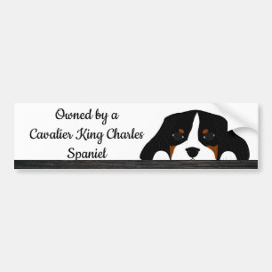 Cavalier Kung Charles Puppy Hund Bildekal