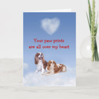Cavalier Kung Charles Puppy Kärlek kort