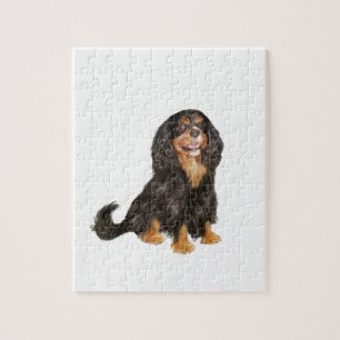 Cavalier Kung Charles (R) - Black and tan.png Pussel