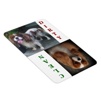 Cavalier Kung Charles Scarlet Dishwasher Magnet