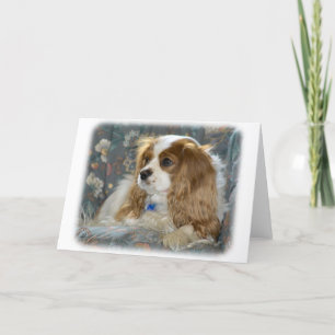 Cavalier Kung Charles Spain 8R16D-01 Kort
