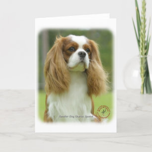 Cavalier Kung Charles Spain 9F097D-08 Kort
