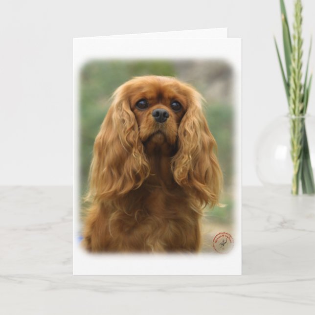 Cavalier Kung Charles Spain 9F51D-10 Kort (Framsida)