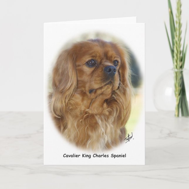 Cavalier Kung Charles Spain 9K27D-17 Kort (Framsida)