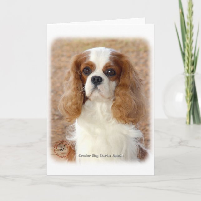 Cavalier Kung Charles Spain 9L005D-08 Kort (Framsida)