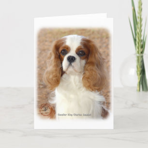 Cavalier Kung Charles Spain 9L005D-08 Kort