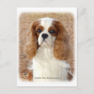 Cavalier Kung Charles Spain 9L005D-08 Vykort