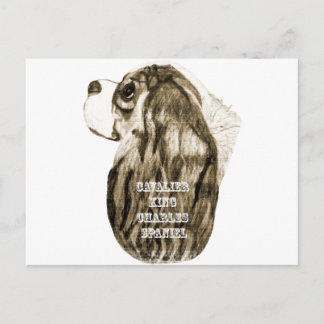 Cavalier Kung Charles Spain Antique Profile Vykort