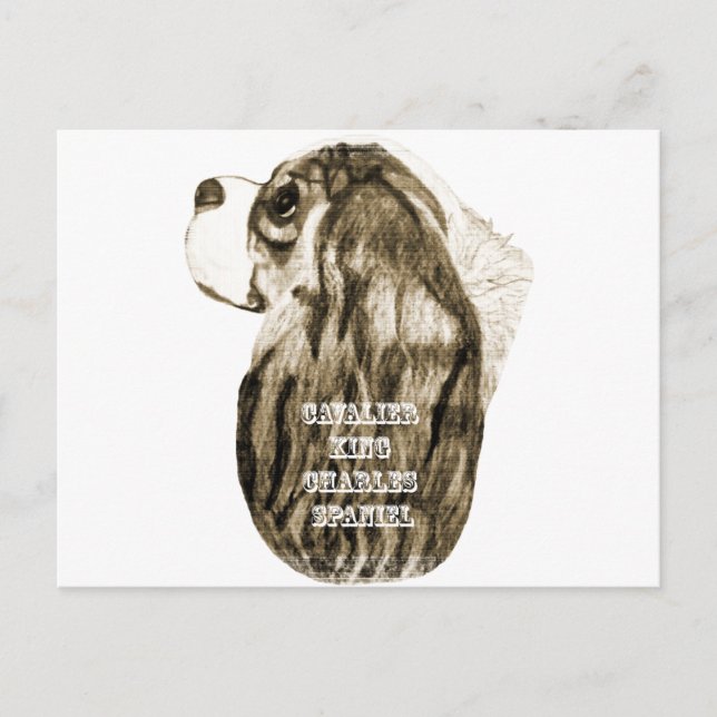 Cavalier Kung Charles Spain Antique Profile Vykort (Framsida)
