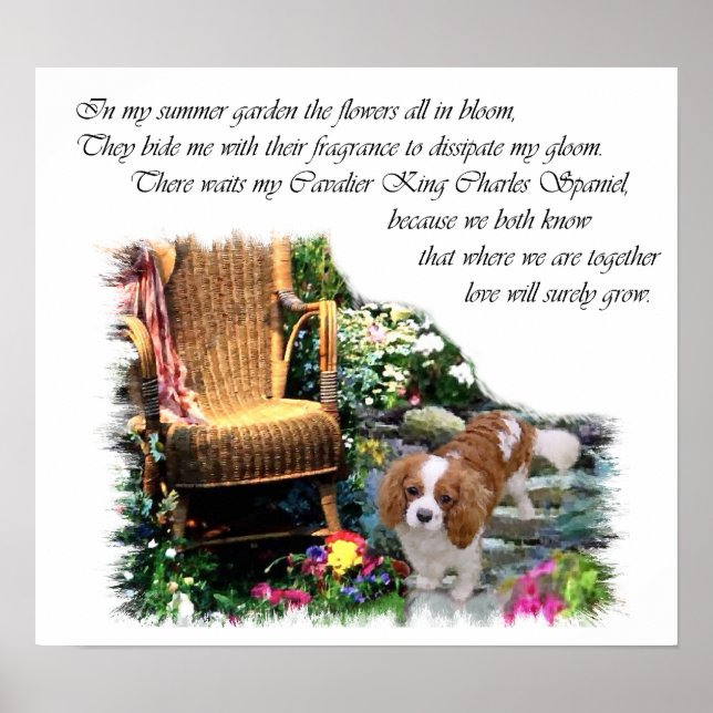 Cavalier Kung Charles Spain Art Poster (Framsidan)