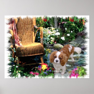 Cavalier Kung Charles Spain Art Poster