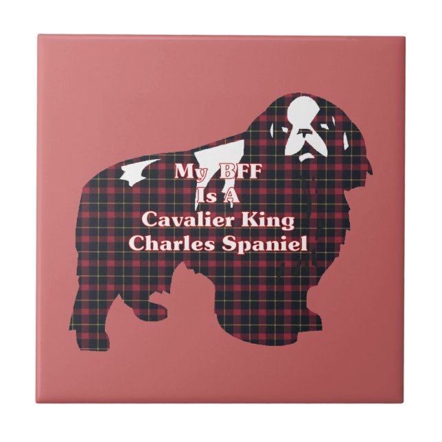 Cavalier Kung Charles Spain BFF Kakelplatta (Framsidan)
