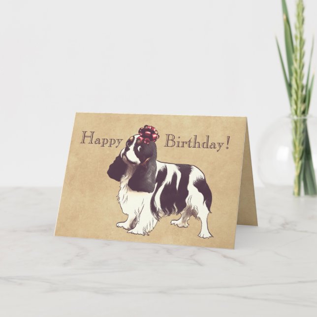 Cavalier Kung Charles Spain Birthday Card Kort (Framsida)