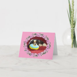 Cavalier Kung Charles Spain Blank Note Card Kort