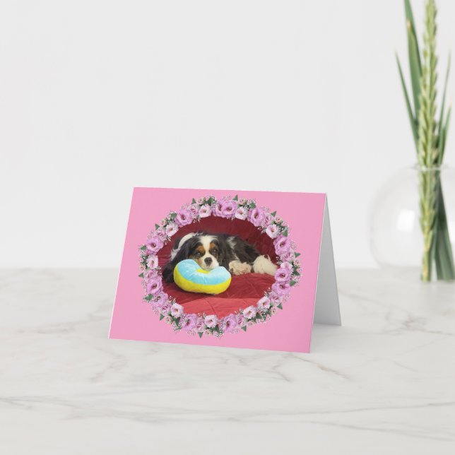 Cavalier Kung Charles Spain Blank Note Card Kort (Framsida)