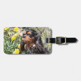 Cavalier Kung Charles Spain Brother & Sister Bagagebricka