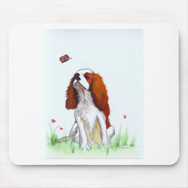 Cavalier Kung Charles Spain CKC Musmatta (Framsidan)