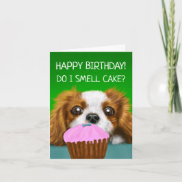 Cavalier Kung Charles Spain "Do I Smell Cake?" Kort