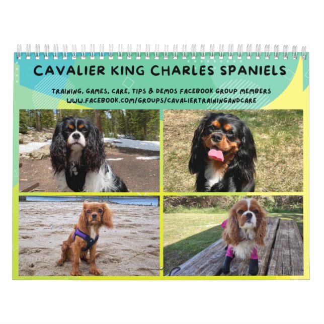 Cavalier Kung Charles Spain FB Group Calendar (2) Kalender (Omslag)