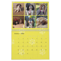 Cavalier Kung Charles Spain FB Group Calendar (3