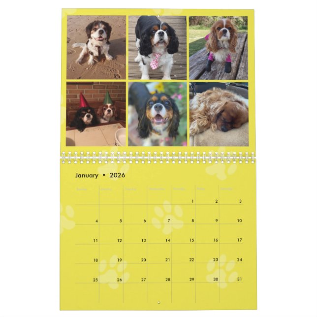 Cavalier Kung Charles Spain FB Group Calendar (3 Kalender (Jan 2026)
