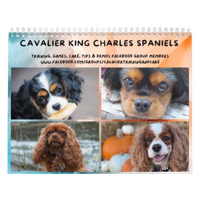 Cavalier Kung Charles Spain FB Group Kalender (Omslag)