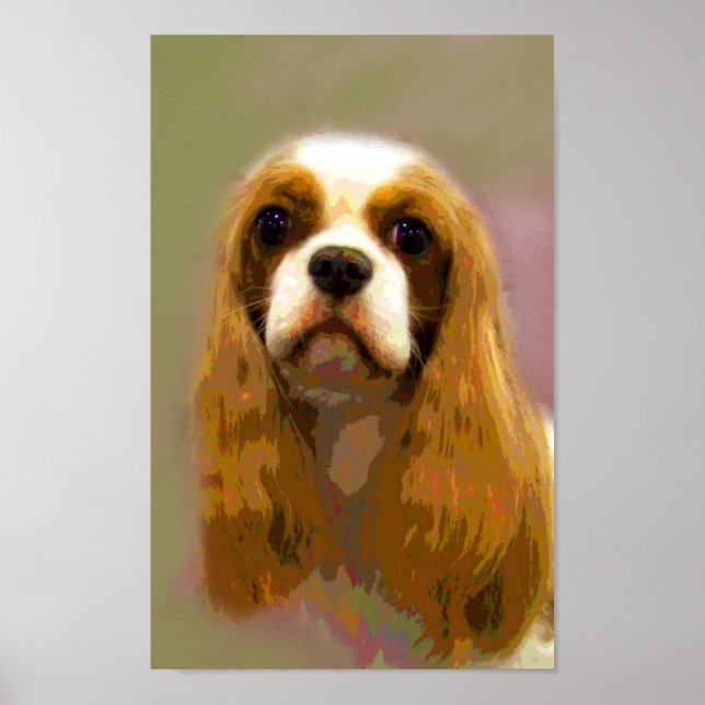 Cavalier Kung Charles Spain Fine Art Prints Poster (Framsidan)