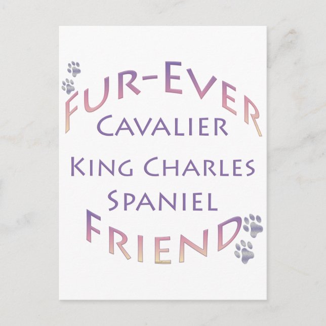 Cavalier Kung Charles Spain Furever Vykort (Framsida)