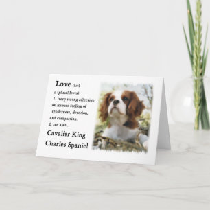 Cavalier Kung Charles Spain Gifts Kort