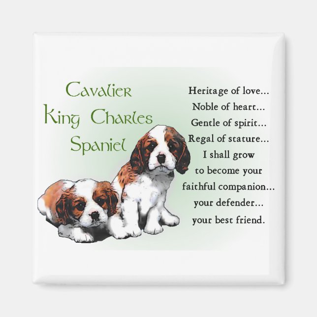 Cavalier Kung Charles Spain Gifts Magnet (Framsidan)