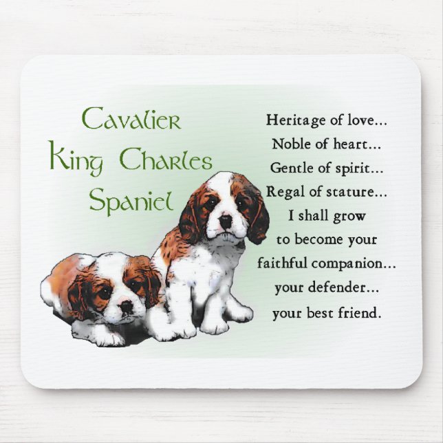 Cavalier Kung Charles Spain Gifts Musmatta (Framsidan)