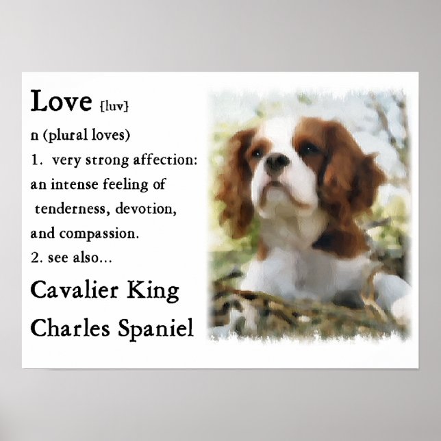 Cavalier Kung Charles Spain Gifts Poster (Framsidan)