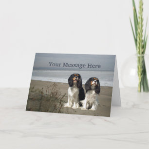 Cavalier Kung Charles Spain Greeting Card Helgkort