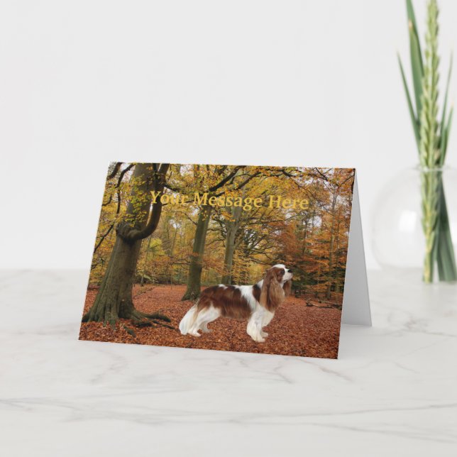 Cavalier Kung Charles Spain Greeting Card Helgkort (Framsida)