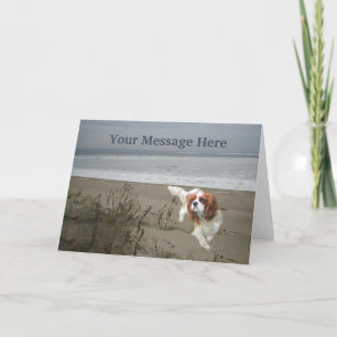 Cavalier Kung Charles Spain Greeting Card Helgkort