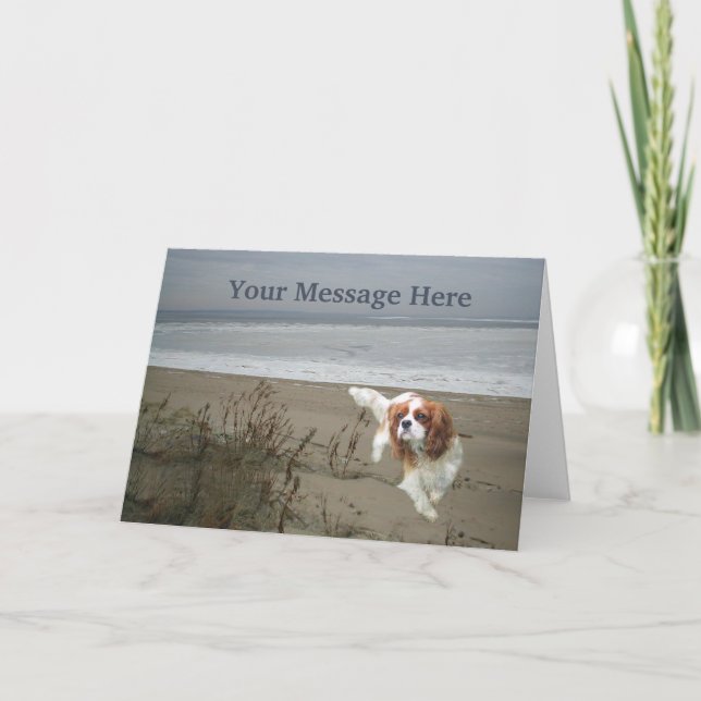 Cavalier Kung Charles Spain Greeting Card Helgkort (Framsida)