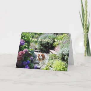 Cavalier Kung Charles Spain Greeting Card Helgkort