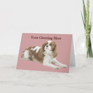 Cavalier Kung Charles Spain Greeting Card Kort