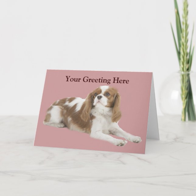 Cavalier Kung Charles Spain Greeting Card Kort (Framsida)