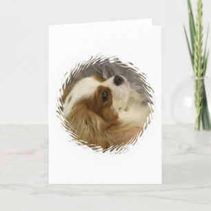 Cavalier Kung Charles Spain Greeting Card Kort