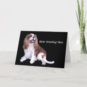 Cavalier Kung Charles Spain Greeting Card Kort