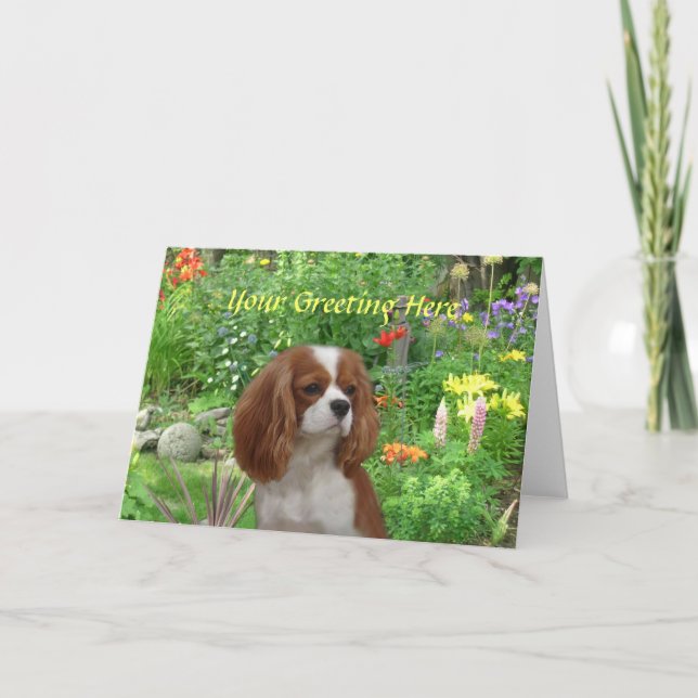 Cavalier Kung Charles Spain Greeting Card Kort (Framsida)