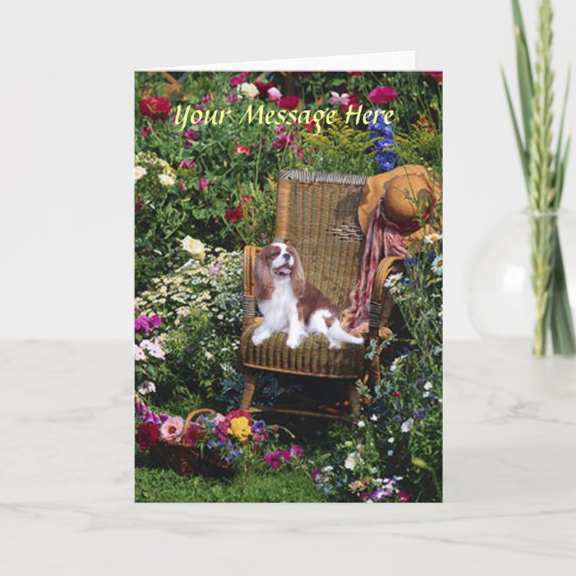 Cavalier Kung Charles Spain Greeting Card Kort (Framsida)