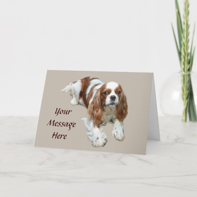 Cavalier Kung Charles Spain Greeting Card Kort (Framsida)
